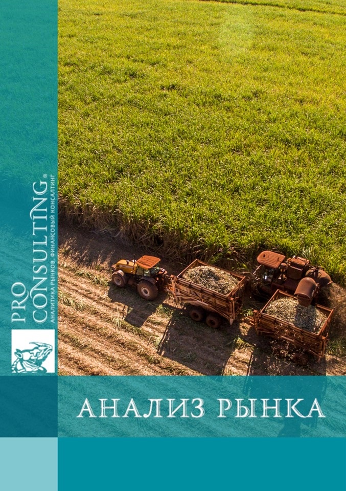 Отчет по результатам исследования влияния войны на аграрные рынки Украины по методологии EMSMA. Апрель-июнь 2024